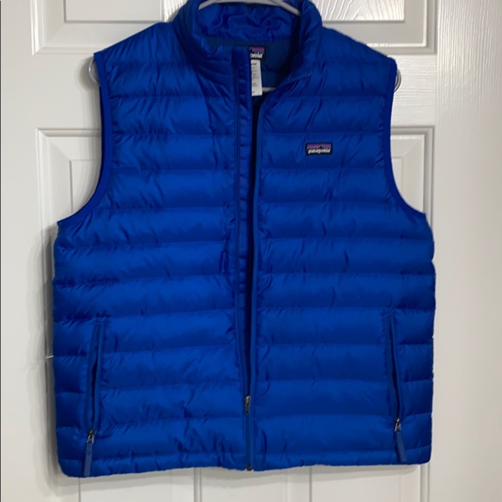 Electric blue Patagonia vest